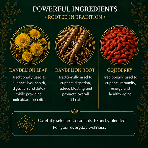 BIDPAI7167 Dandelion Leaf & Root Tea